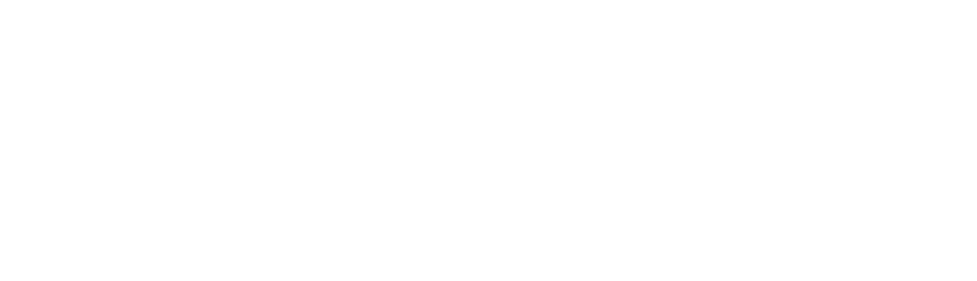 Asal Sold Team